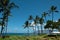 Nature landscape in Hawaii, tropical beach with palm tree in crystal clear sea.