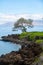 Nature landscape in Hawaii, tropical beach with palm tree in crystal clear sea.