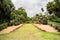 nature landscape of immaculate Fairchild botanic garden with dramatic skies, lake and palm trees