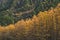 Nature landscape at Kamikochi Japan, autumn season