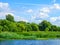 Nature landscape with lake river trees in forest reeds and meadow on a sunny spring summer day with blue partial cloudy sky