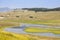 Nature landscape in Lamar Valley in Yellowstone National Park on summer