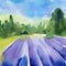 Nature landscape. Lavender flowers field. Summer watercolor illustration.