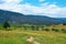 Nature landscape of a path lined with wild flowers leading down into a valley with a lake and windmill with mountains in the