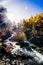 Nature landscape river in pine forest mountain valley,Snow Mountain in daocheng yading,Sichuan,China