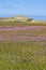 Nature landscape Terschelling