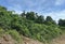 Nature landscape view. Shrub next to plantation area with beautiful blue sky background