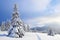 Nature landscape. Winter scenery with pine trees, mountains and the lawn covered by snow with the foot path. Blue sky with clouds