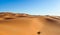 Nature and landscapes of desert, with beautiful curve in vast desert