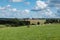 Nature landscapes with green hills at woods during summer at the Belgian Countryside around Bullingen, Belgium