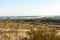 Nature of Latvia. The dune covered with grass on the seashore of the Gulf of Riga.