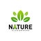 Nature Leaf Green Logo Design Concepts. Environment Logo Template Vector. Icon Symbol