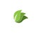 Nature leaf icon and symbol vector illustration for web app