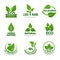 Nature logo. Herbal organic eco natural health design with vector leaf set