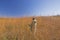 Nature Lover in the Tall Prairie Grass