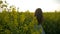 Nature loving teenager girl enjoying a slow walk on a summer day through a golden rapeseed field