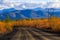 The nature of the Magadan region. Forest road among taiga during golden autumn. Dirt road