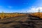 The nature of the Magadan region. Forest road among taiga during golden autumn. Dirt road