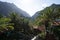 Nature in Masca Village, Tenerife