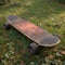 Nature meets nostalgia Old skateboard finds a serene spot on grass