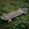 Nature meets nostalgia Old skateboard finds a serene spot on grass