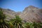 Nature, mountains, islands, stones and bushes, palms, plants under the scorching sun, red mountain, Teide national park, Spain,