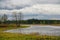 The nature of Northern Russia. landscape with forest, river, river floodplain and riverine meadow. solitary tree.