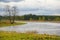 The nature of Northern Russia. landscape with forest, river, river floodplain and riverine meadow. solitary tree.