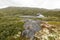 The nature of Norway. River in the mountains. Landscape in foggy weather. Northern nature.