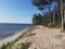 Nature ocean flowers trees beach