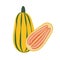 Nature organic vegetable delicata squash