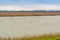 Nature park near Almere, Netherlands in winter