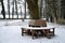 In a nature park on a snowy circle shape bench, it can get cold or cause frostbite. surrounds a linden tree trunk in the forest. r