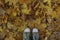 Nature, Parks, Outdoor Concept.Cropped Shot Of Blue Sneakers Over Autumn Background.