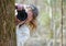 Nature photographer shooting you