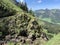Nature at Pilatus mountain, Lucerne, Switzerland