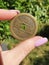 Nature Plants Gras Coin Lucky Chinese Hand Nails