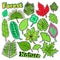 Nature Plants and Leaves Scrapbook Stickers