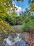 Nature reclaiming an abandoned quarry in Germany