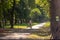 Nature. relaxing walk among the trees along the walls of the beautiful city of treviso. the bicycles now on almost every main roa