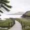 The nature reserve boardwalk is isolated on a white background.