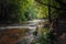 Nature reserve Cascades on Tanew River (Szumy nad TanwiÄ…), Roztocze, Poland.