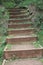 Nature reserve steps wooden climb