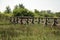 Nature Reserve Walkway