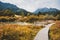 Nature Reserve Zelenci, krajnska gora, Slovenia, Europe. Wonderful morning view of Zelenci nature reserve. Slovenia travel.