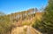 Nature road in the forest in the Harz mountains