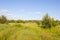 The Nature Of Russia. Panorama of flowering meadows.