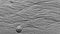 Nature`s art. Ripples in the sand around a sand dollar on a beach on New Zealand`s west coast