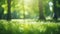 Nature\\\'s Bliss: A Serene Summer Morning in the Expansive Grassy