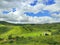 Nature\\\'s Canvas: A Serene Symphony of Clouds, Trees, Grass, and Mountains